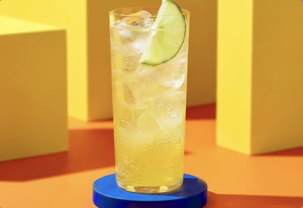 ジョニーブロンド シトラスレモネードハイボール(500円)