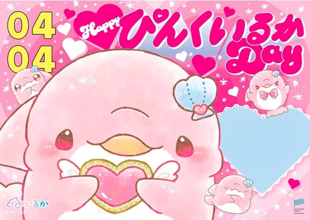 なんでも拾ってくるため、「ぱちこ」の愛称で親しまれるぴんくいるか。お誕生日は4月4日