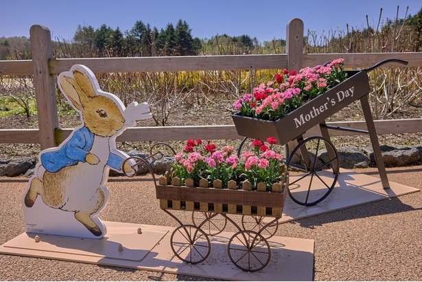 季節ごとにお花が変わる、ピーターラビットのフォトスポット