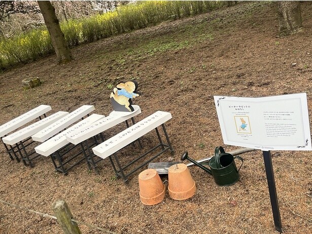 「ピーターラビット(TM)ストーリートレイル」