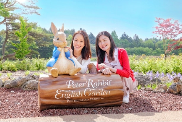 「ピーターラビット(TM)イングリッシュガーデン」2026年営業スタート！フォトスポット・グッズ・カフェなど見どころ徹底ガイド