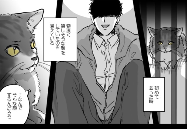 恐怖と不安しかない猫の表情に注目！