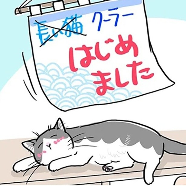 長くなった猫