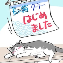 【ねこ漫画】暑くなると猫は伸びる!?夏の風物詩「長い猫、はじめました」今年はいつ始まるのか!?【作者に聞く】