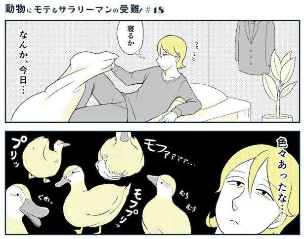 動物にモテるサラリーマンの受難(35)
