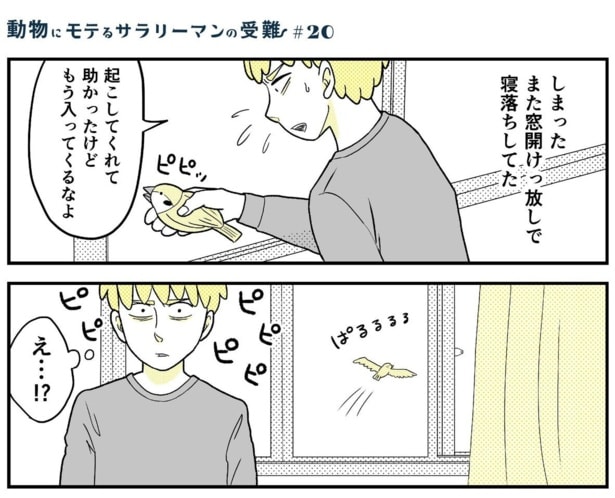 動物にモテるサラリーマンの受難(39)