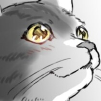 「自宅へ軟禁された」不信感いっぱいの檻から、毎日撫でられる日々へ。保護猫が「愛に理由はない」と悟るまで【作者に聞く】