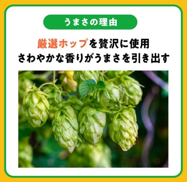 スクリーンショット 2025-07-09 010345