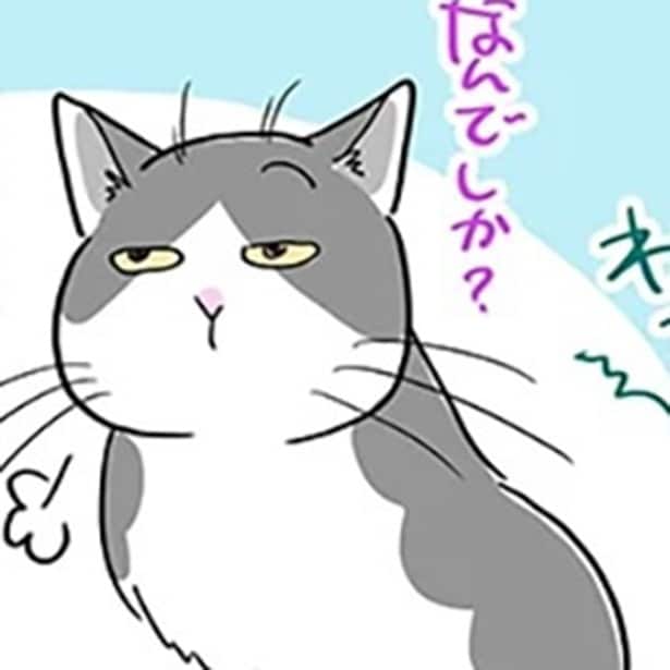  かっちかちになってしまったアイスと格闘していたら…