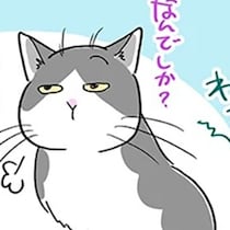 【ねこ漫画】人間の食べ物を点検したがる猫が大パニック!!「そこは盲点だったか…！」何もない場所で飛び上がる【作者に聞く】