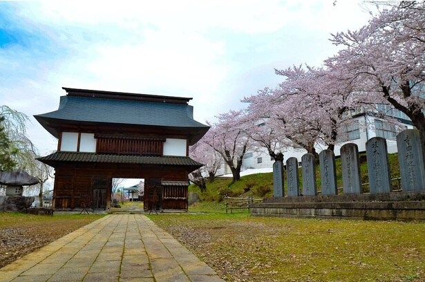 名将たちに受け継がれた後堅固の城につながる桜並木/飯山城址公園の桜