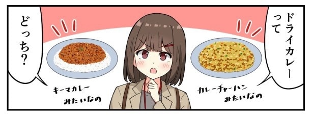 ドライカレーの定義とは？