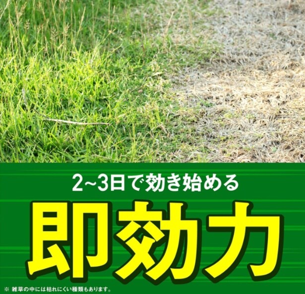 スクリーンショット 2025-07-10 155407