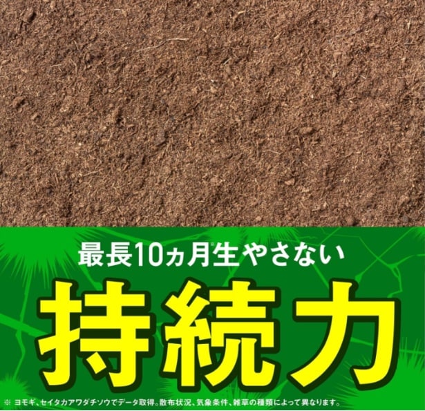 スクリーンショット 2025-07-10 155417