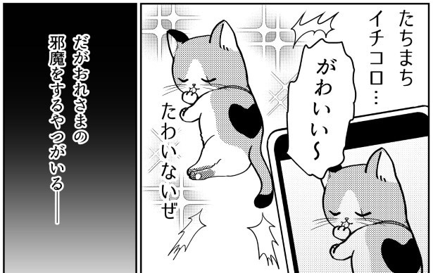 猫は本当にぶりっ子する!!ぶりっ子しているとわかっていても、かわいいものはかわいい!!