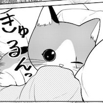 【ねこ漫画】猫好きにはたまらない！人間にぶりっ子する新入り猫が先住猫の前では“オレ様”に豹変!?2匹の日常に悶絶ッ【作者に聞く】