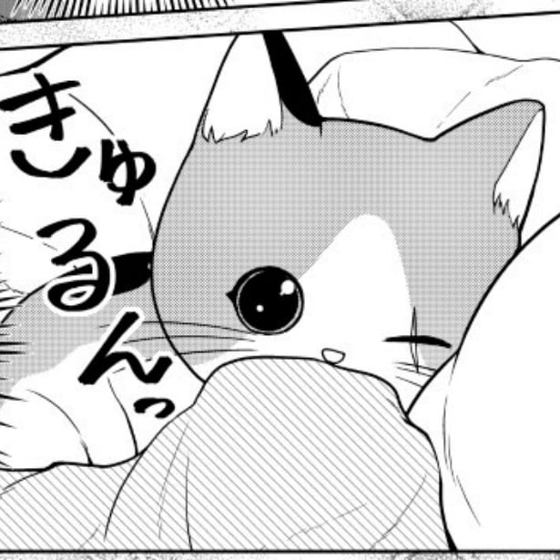 【ねこ漫画】猫好きにはたまらない！人間にぶりっ子する新入り猫が先住猫の前では“オレ様”に豹変!?2匹の日常に悶絶ッ【作者に聞く】