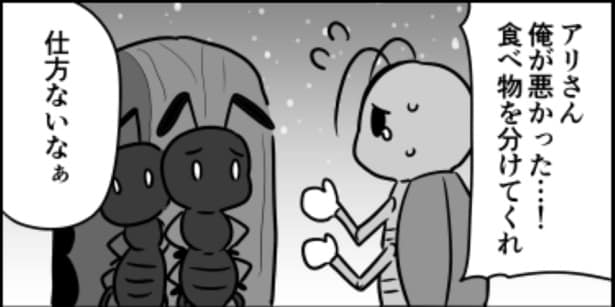 ウミガメのスープ01