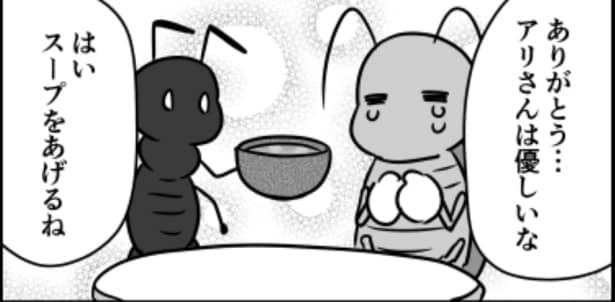 ウミガメのスープ03