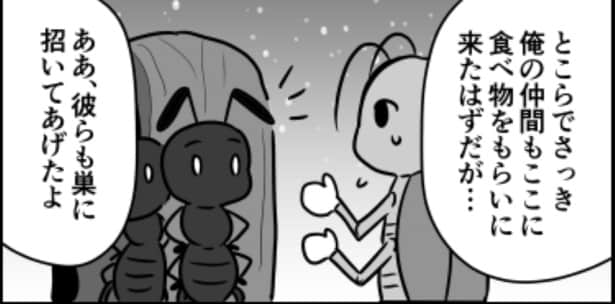 ウミガメのスープ02