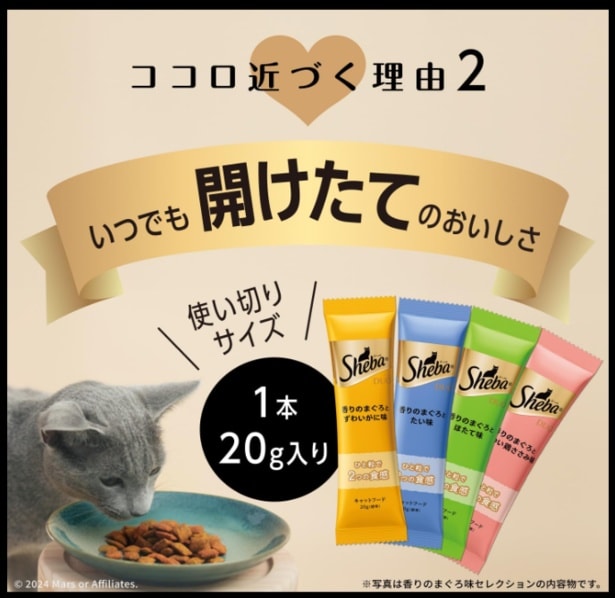 スクリーンショット 2025-07-04 231122