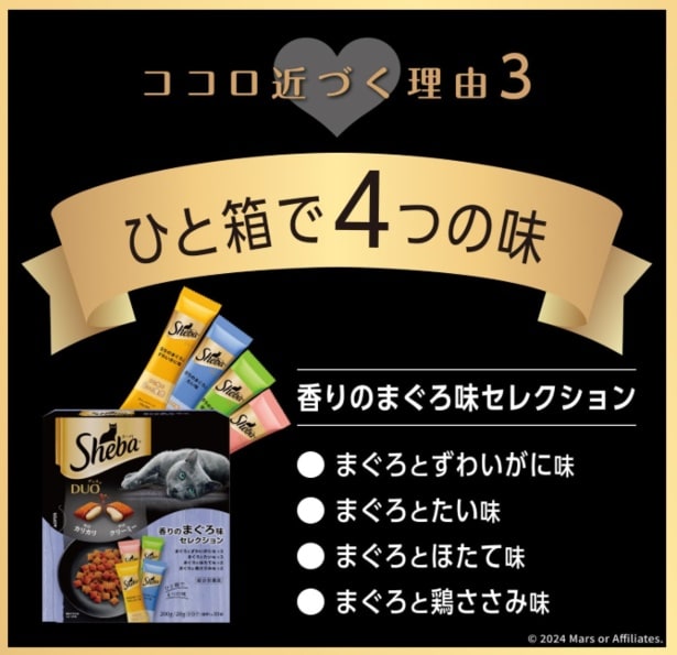 スクリーンショット 2025-07-04 231130