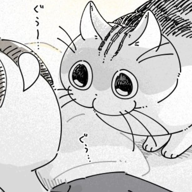 飼い主を起こそうとする猫