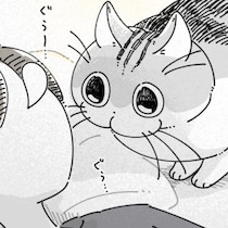 【ネコ漫画】飼い主を優しく起こそうとする愛猫!?かわいすぎる仕草にSNSで6.9万超えの大反響！