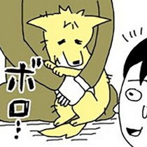 「犬は苦手なはずだったのに…」姉の愛犬に心奪われた妹の劇的変化に「尊すぎる」「涙が出た」【作者に聞く】
