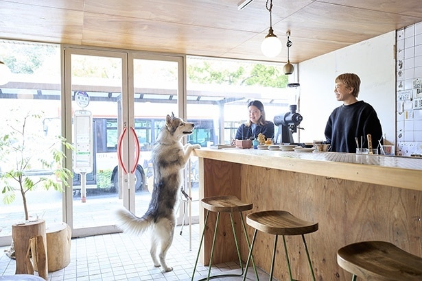 コーヒーで旅する日本/関西編|確かな技術と朗らかな接客が醸し出す、親しみに満ちた憩いの時間。「SUNDAE」