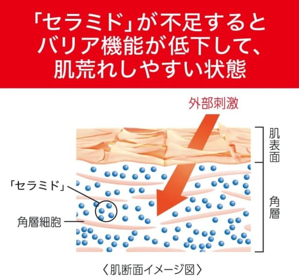 スクリーンショット 2025-07-30 215113