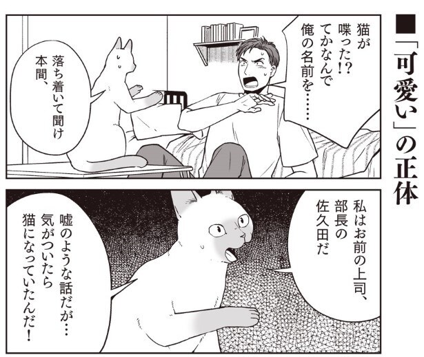 このかわいいネコチャンが部長だとは思いたくない!!