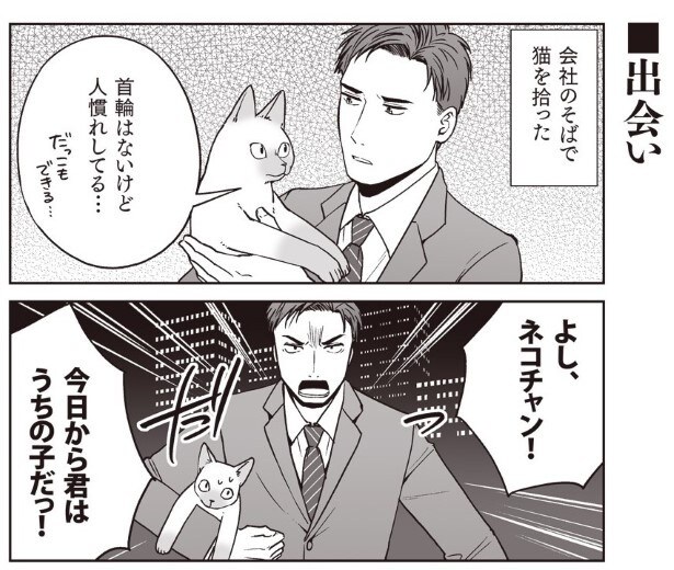 どこかで猫を拾うことがあったら、そのときは飼おうと心に決めていた