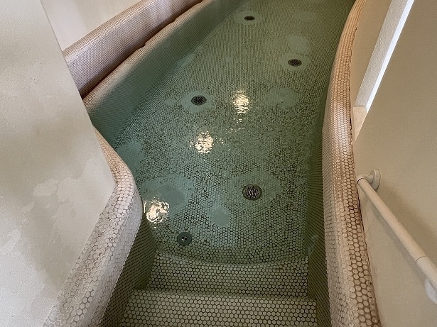「バーデゾーン」の水風呂
