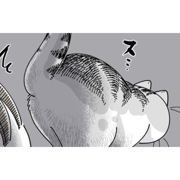 飼い主に堂々とおしりを向ける猫