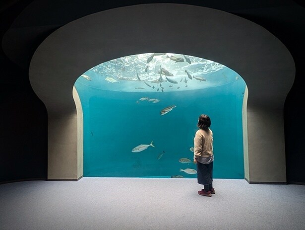 青が美しい渦潮の景では、幻想的な写真が撮影できる