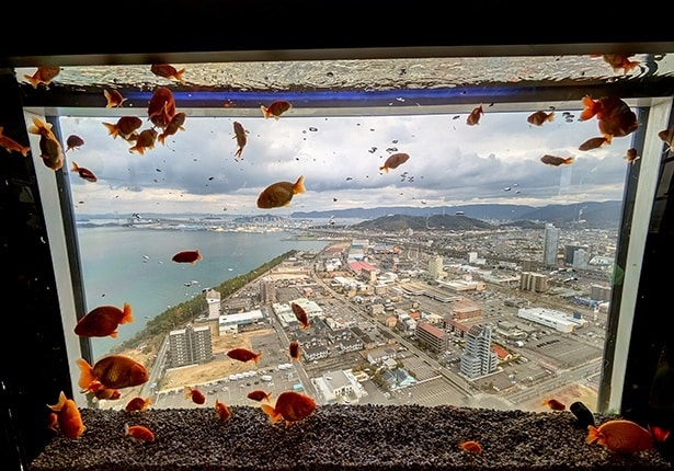街並みを背景に泳ぐ金魚たち。非日常の不思議空間だ