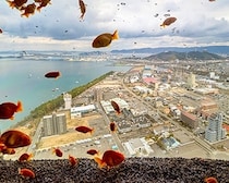 地上127メートルで楽しむ非日常！瀬戸内の絶景と金魚が織りなす天空アクアリウム体験「ソラキン」
