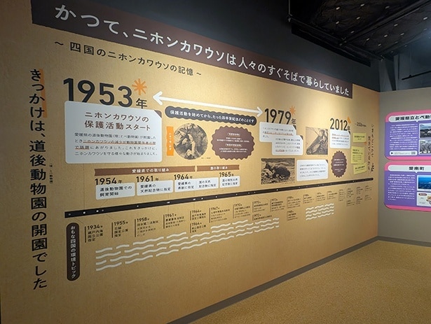 保護活動の歴史を示した年表