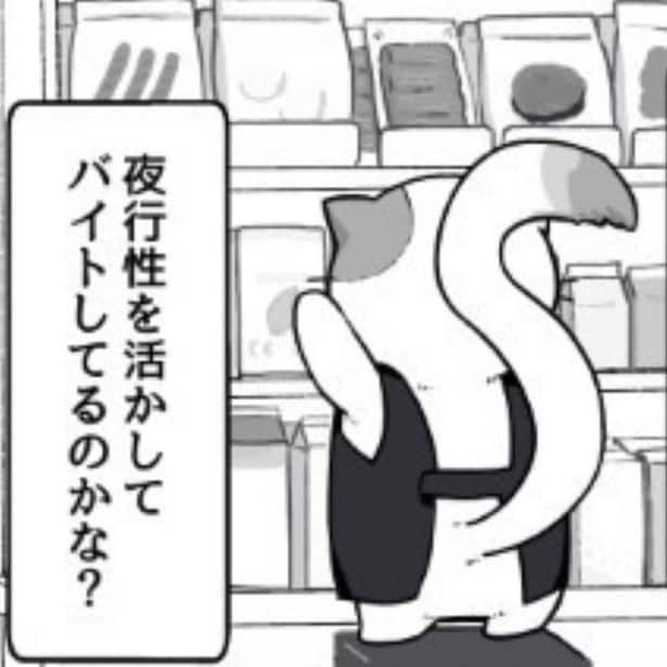 【ねこ漫画】「え、バイトじゃなくて店長!?」疲れ果てた社会人が仕事帰りに通うコンビニにはネコ店長がいる！【作者に聞く】