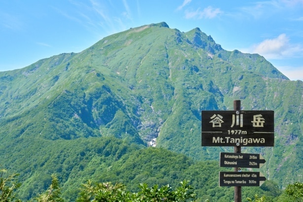 標高1500メートル地点の展望台から望む谷川岳山頂