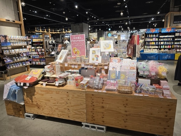 TSUTAYAリノアス八尾店(大阪)