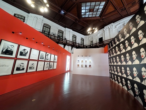 本展覧会が日本初の個展。主要な作品が紹介されている