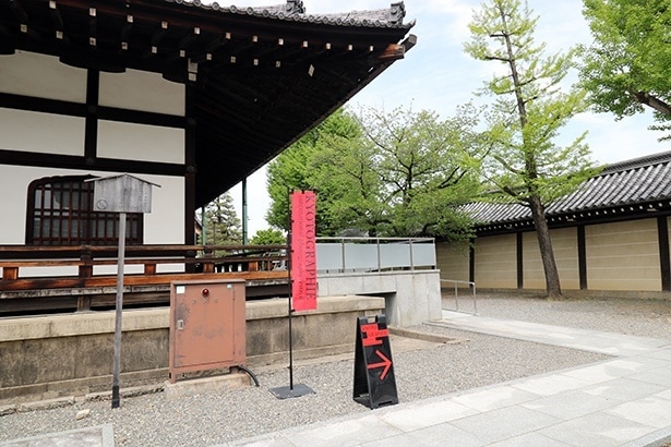 【写真】会場は、赤い旗や看板が目印