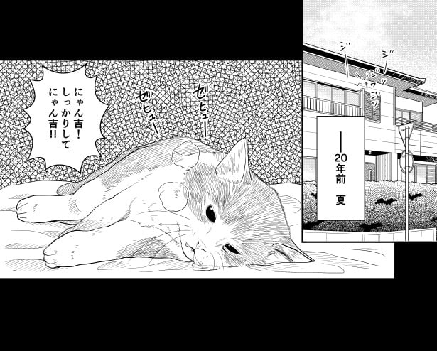 苦しんでいるのに、病院も閉まっていて救急車も呼べない