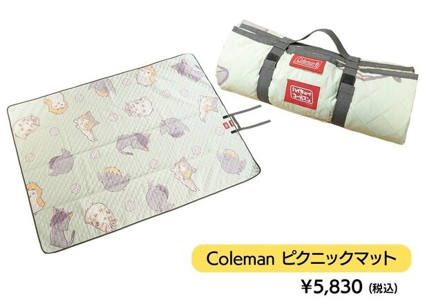 持ち運びしやすい取って付きの「ピクニックマット」(5830円)