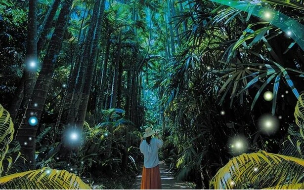 【画像】世界初の“エコ×イルミネーション”「南国ECOライツ」が幻想的な空間を演出