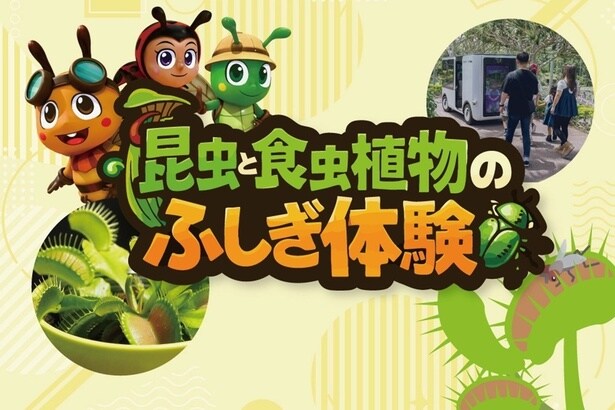 映像ガイド「トナブン」と一緒に、ドキドキワクワクの大冒険へ