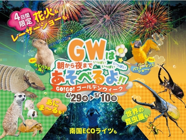 全国1位イルミ+昆虫展+動物ふれあいがコミコミ、沖縄「東南植物楽園」のGWチケットがメガお得