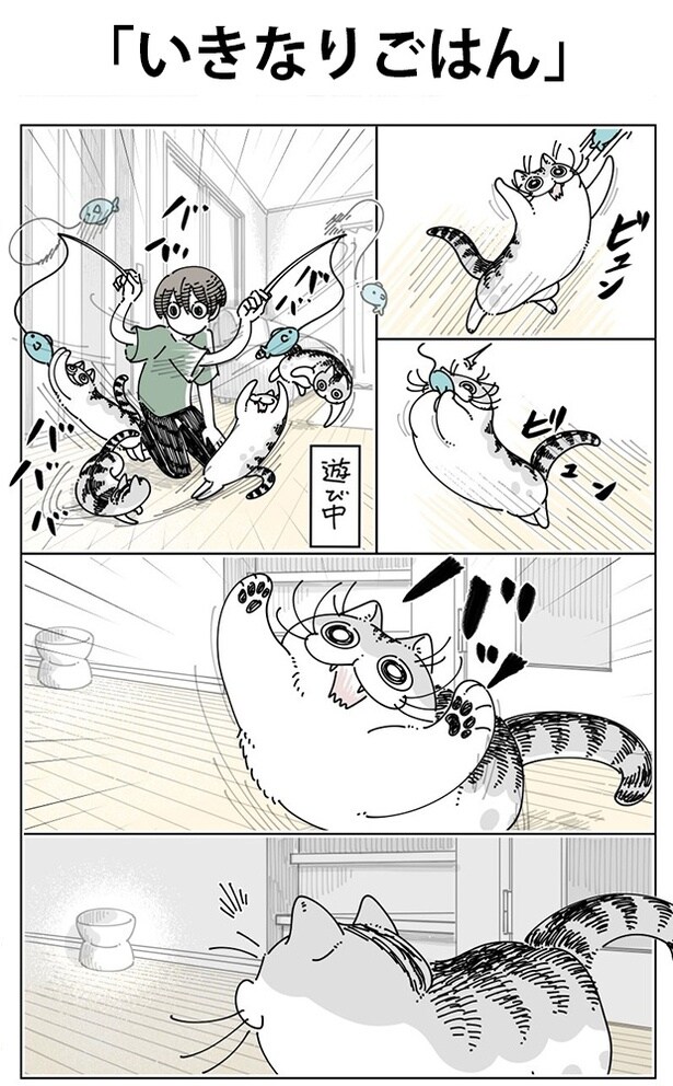 「いきなりごはん」01